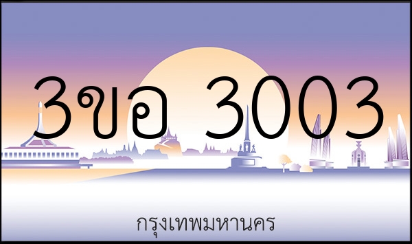3ขอ 3003